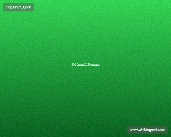 2020巴西赛事2020巴西联赛冠军